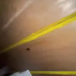 Casal em casa