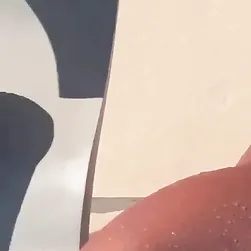 Brasileñas limpiando sus billeteras 😏