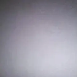 canlı kıçlar