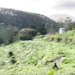 Vá lá, eu faço-lhe o favor, mas se ele me engravidar, tu ficas com ele