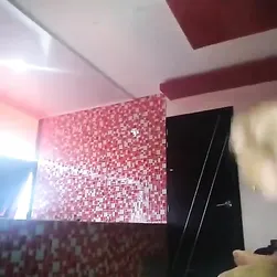 데이터 시각화