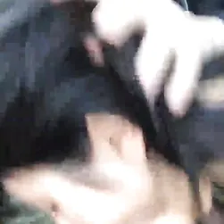 Playful Moments Captured in a Naughty Hidden Photo