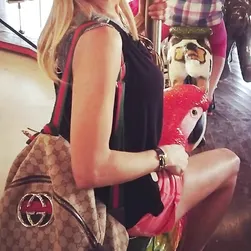 Giornalista Stefani