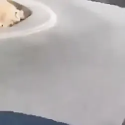 Dirigendo una moto e sentendo no pau