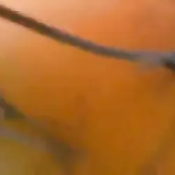 JA pensava