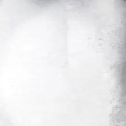 ビッチボーイズはフェラが大好き