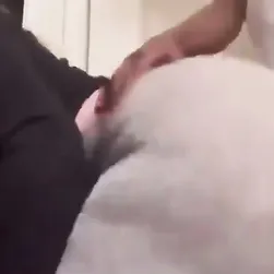 Frieren fece allora quello che ogni brava moglie dovrebbe fare quando vede il marito a mezz'asta.
