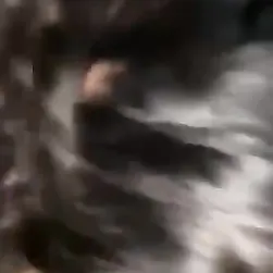 Une salope turque suce un Arabe comme si c'était un sucuk 😈 ????????