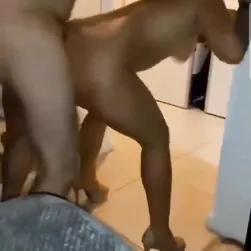Turecka Milf zostaje zerżnięta w dupę