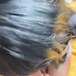 쁘띠 초콜릿 소녀 망할